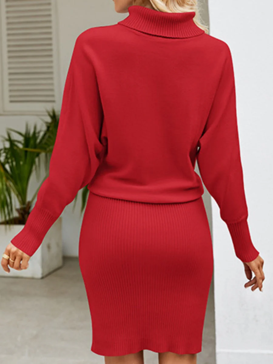 Knitting Turtleneck Jacquard Long Sleeve Mini&Short Dresses - Image 5
